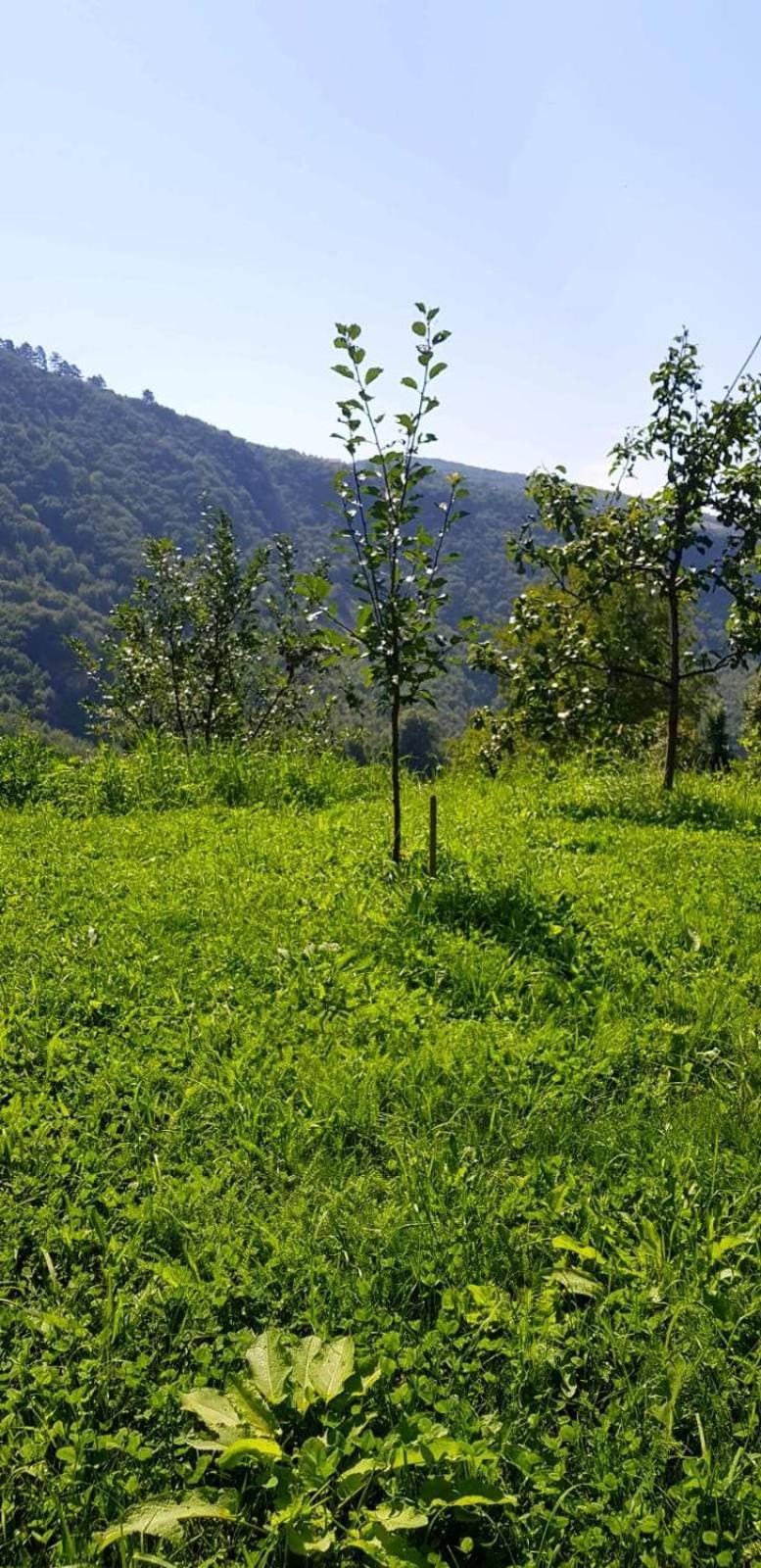 Family Apartment With Garden Sarajevo Ngoại thất bức ảnh