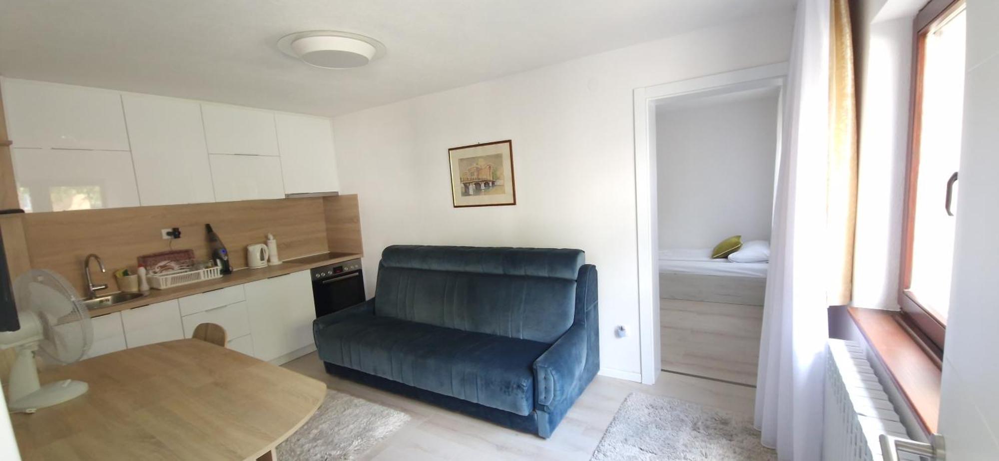 Family Apartment With Garden Sarajevo Phòng bức ảnh