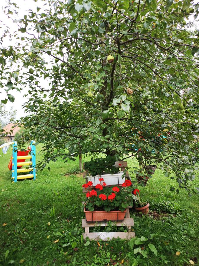 Family Apartment With Garden Sarajevo Ngoại thất bức ảnh