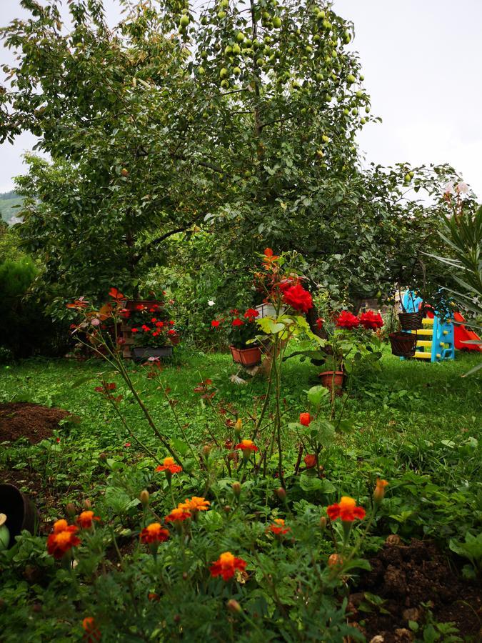 Family Apartment With Garden Sarajevo Ngoại thất bức ảnh