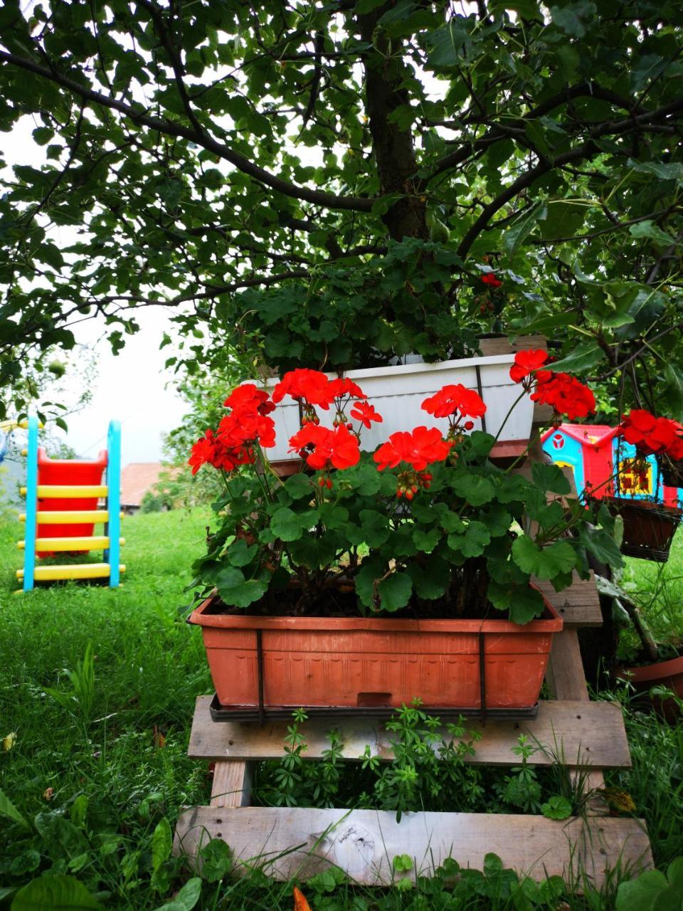 Family Apartment With Garden Sarajevo Ngoại thất bức ảnh