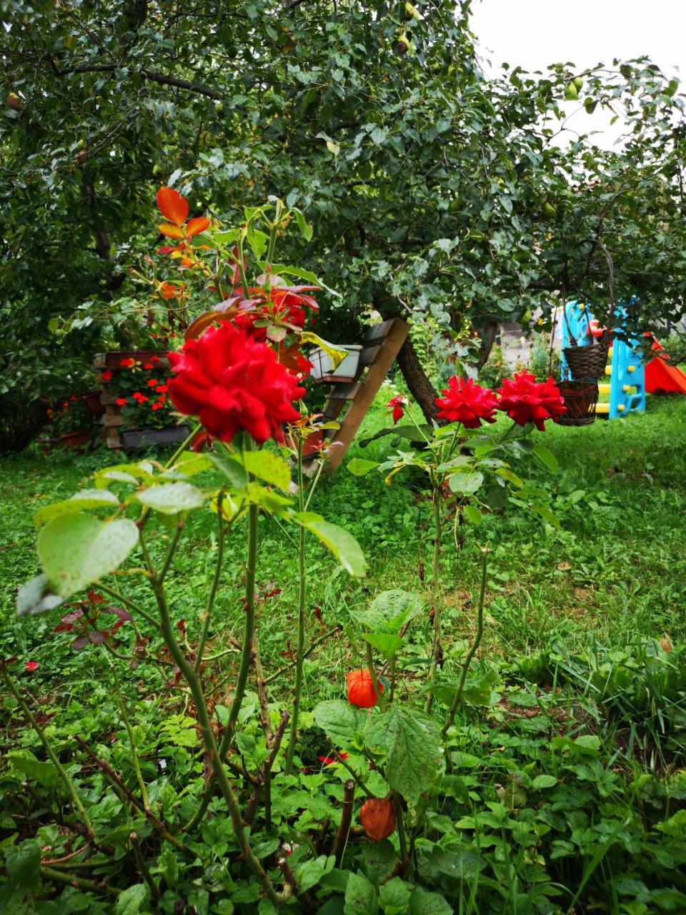 Family Apartment With Garden Sarajevo Ngoại thất bức ảnh