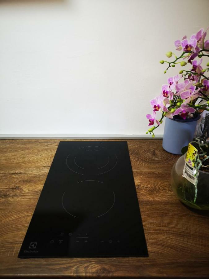 Family Apartment With Garden Sarajevo Ngoại thất bức ảnh