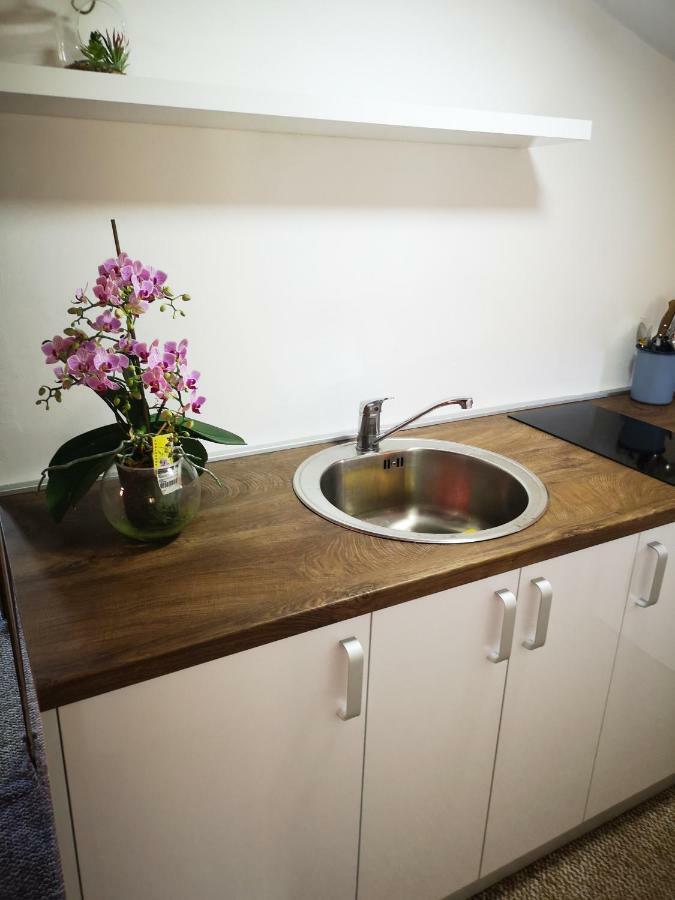 Family Apartment With Garden Sarajevo Phòng bức ảnh